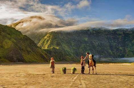 Sedulur Homestay Bromo Luaran gambar